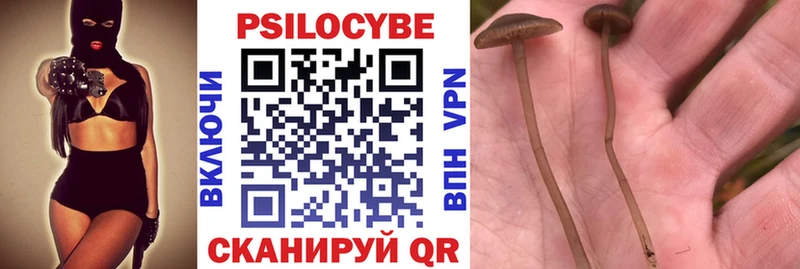 Галлюциногенные грибы MAGIC MUSHROOMS Нижняя Салда